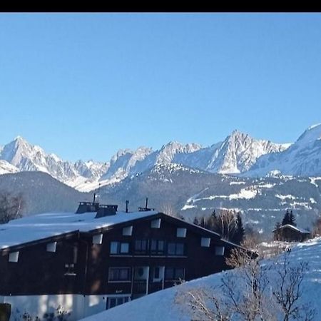 Studio Porte Du Mont Blanc Combloux Aux Pieds Des Pistes Екстер'єр фото