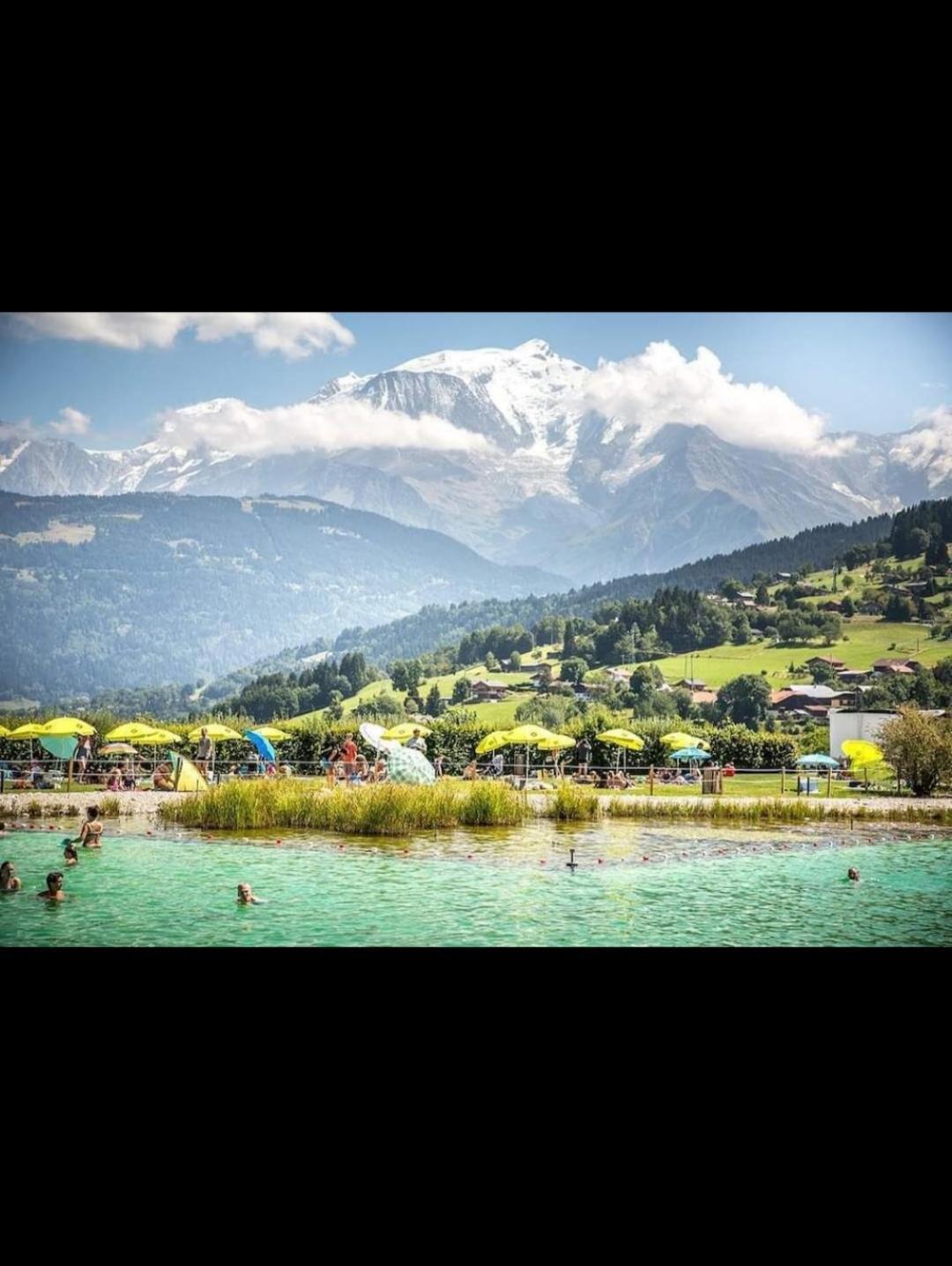 Studio Porte Du Mont Blanc Combloux Aux Pieds Des Pistes Екстер'єр фото